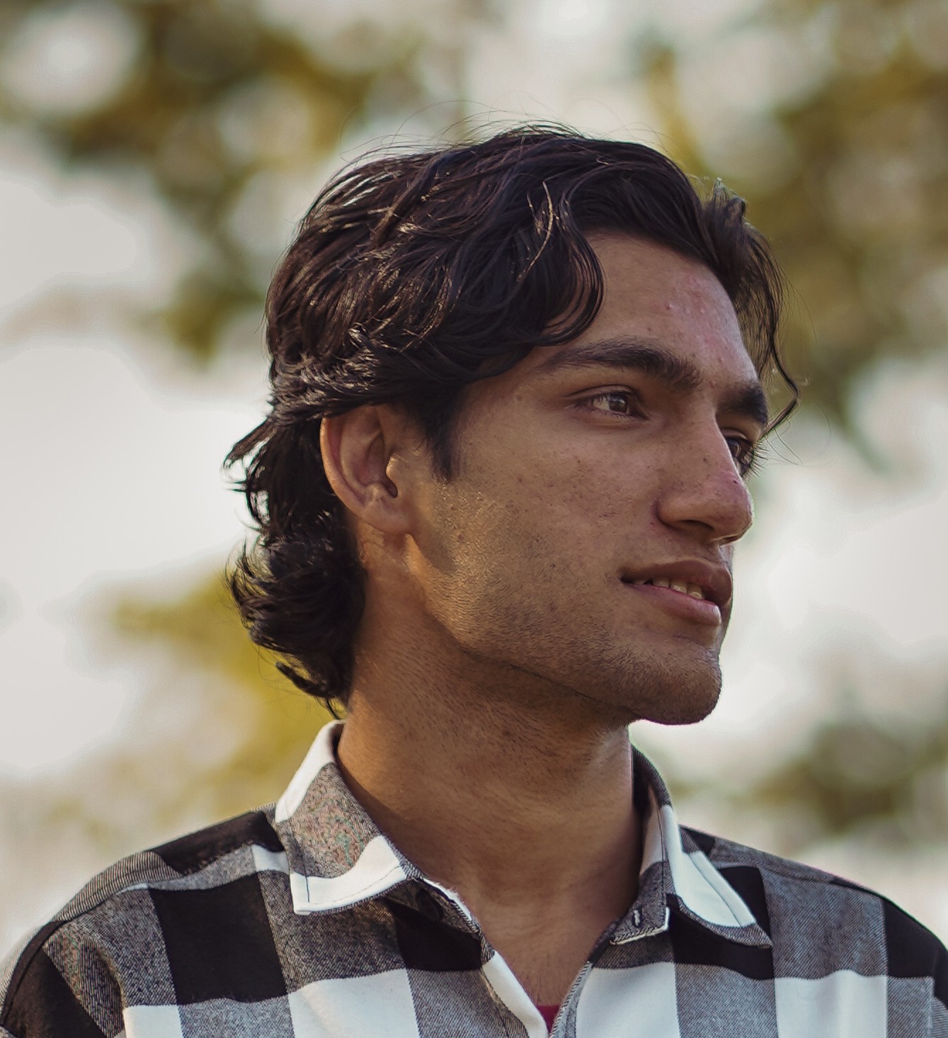 Profile
